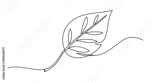 Single line leaf drawing, symbolizing nature, growth and environment