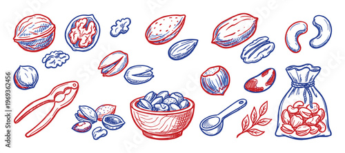 Various hand-drawn nuts and seeds, including walnuts, almonds, pistachios, and cashews, are depicted in a vibrant red and blue sketch style