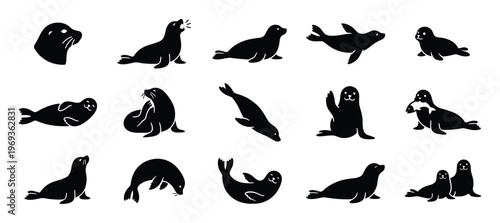 Collection of fifteen black silhouette seals and sea lions in various playful poses, depicted as simple cartoon illustrations
