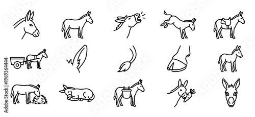 Collection of fifteen black outline donkey icons depicting various poses, actions, and body parts, presented in a clean, minimalist style