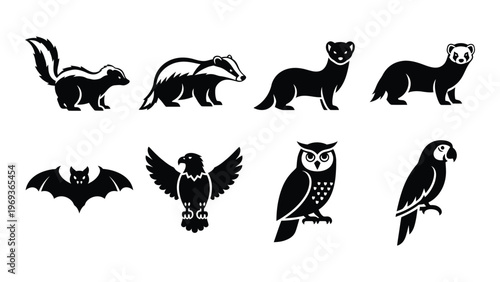A collection of black animal silhouettes including mustelids birds of prey and a bat silhouette high quality professional detailed modern elegant