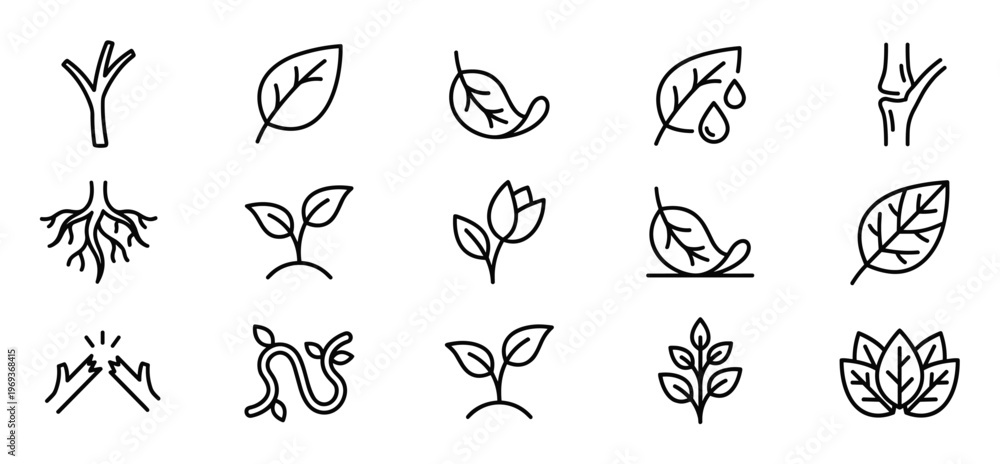 Fototapeta premium Collection of various outline icons depicting plant growth, leaves, roots, and botanical elements in a clean, minimalist style