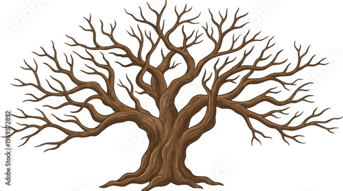 A detailed illustration of a large, old, bare tree with many intricate branches and a thick, textured trunk, set against a white background.