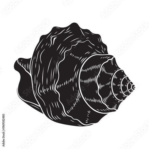 Black and white illustration of a conch shell silhouette with detailed outline