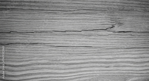 Natural wood texture in grayscale featuring detailed grain patterns for versatile creative backgrounds and copy space