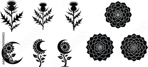 Intricate botanical thistle and mandala floral patterns collection, minimalist line art design for branding and artistic print media