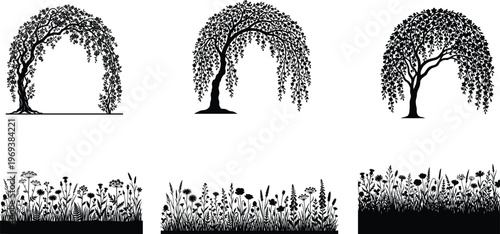 Elegant monochromatic weeping willow tree and wildflower meadow illustration set against stark for artistic branding and minimalist design projects
