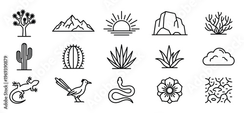 Collection of desert-themed line art icons featuring various plants, animals, and natural elements in a minimalist style
