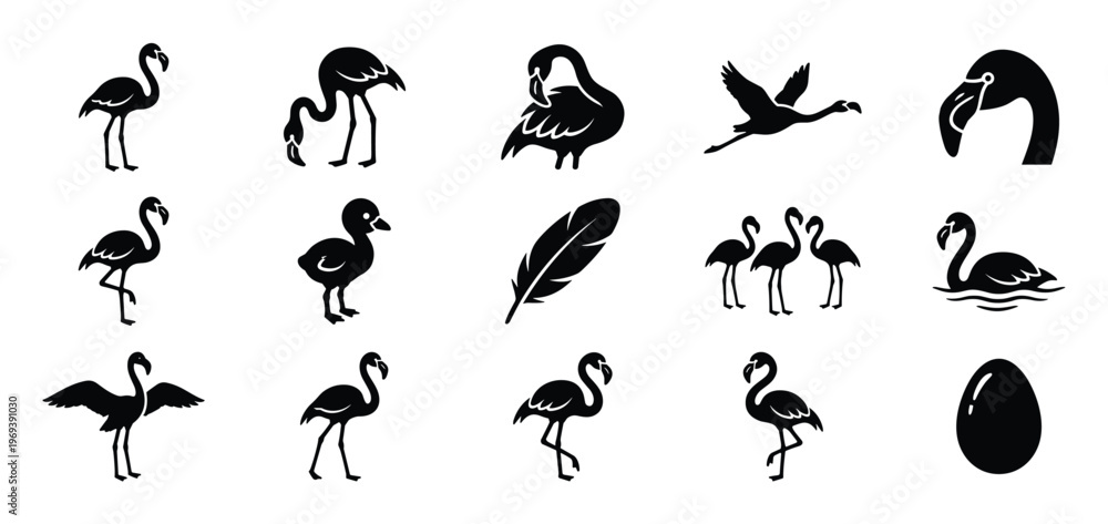 Fototapeta premium Collection of black flamingo silhouettes in various poses, including standing, flying, swimming, and a chick, presented as graphic icons