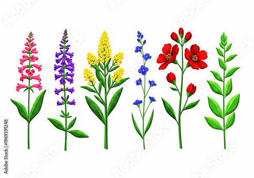 A colorful assortment of six distinct and vibrant flowering plants