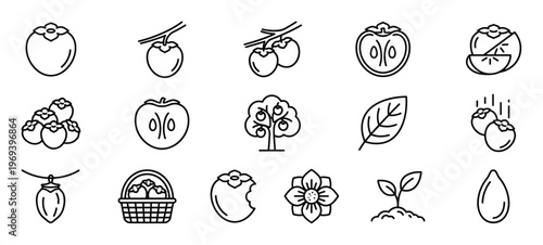 Collection of fifteen black outline icons depicting various aspects of persimmon fruit, including whole, sliced, on branches, in a basket, and a tree