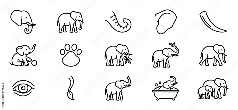 Obraz premium Collection of fifteen black outline elephant icons and related elements, featuring various poses and actions