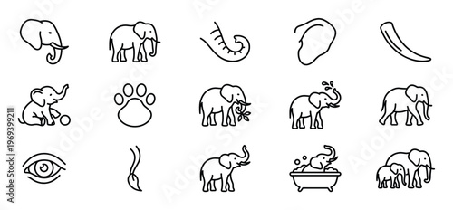 Collection of fifteen black outline elephant icons and related elements, featuring various poses and actions