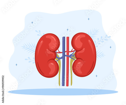 Human kidney icon. Internal organ. Nephrology and anatomy concept. Medical vector illustration in flat cartoon style.