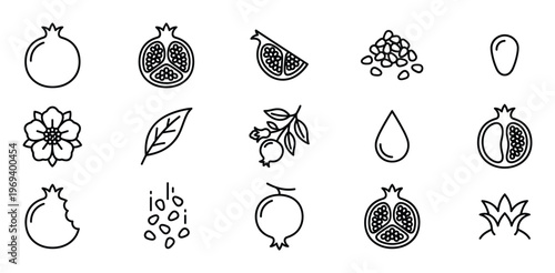 Collection of black outline pomegranate icons, including whole fruit, cut halves, seeds, leaves, and flowers, presented in a clean, minimalist style