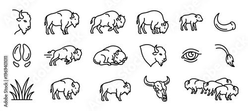 Collection of various American bison outline icons depicting different poses, body parts, and related elements in a simple, clean style