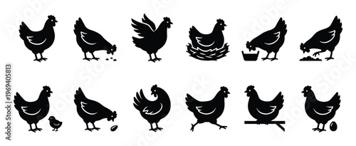 Collection of black silhouette hen and chicken icons in various poses, including standing, pecking, and nesting