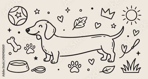 Dachshund dog breed, sausage puppy pattern, pet lover background, animal friendship vector, cute dog line art, canine lifestyle doodle, hand drawn 