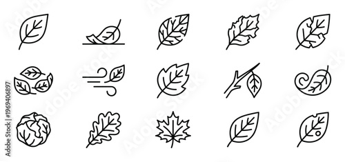 Collection of fifteen black outline leaf icons depicting various shapes and states of foliage
