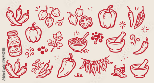 Red chili pepper, spicy food pattern, kitchen spices background, vegetable line art, cooking ingredients vector, red garden pepper, hand drawn spicy doodle
