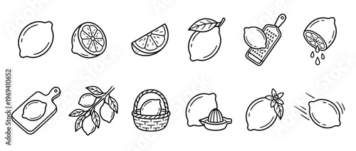 Collection of black outline lemon icons showing whole, sliced, grated, squeezed, and on a branch, in a basket, and with a juicer