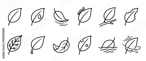 Collection of twelve black outline leaf icons depicting various states and interactions, presented in a clean, minimalist style
