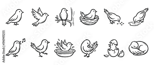 Collection of simple black and white line art illustrations depicting various bird activities in a whimsical, hand-drawn style