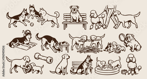 Mixed dog breeds, puppy variety line art, pet shop vector, animal shelter background, diverse dogs pattern, canine family illustration, hand drawn pet art
