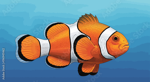 Vibrant Orange and White Clownfish with Distinctive Black Outlines and Fins