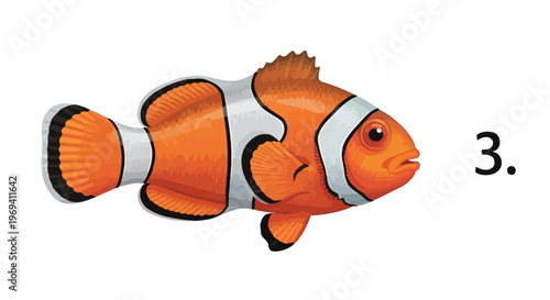Vibrant Cartoon Illustration of a Clownfish with Orange, White, and Black Markings