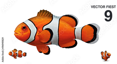 Vibrant Orange and White Clownfish Illustration with Distinctive Striped Pattern