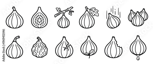 Collection of black outline fig icons in various forms, including whole, cut, on a branch, and bitten, presented in a clean, graphic style
