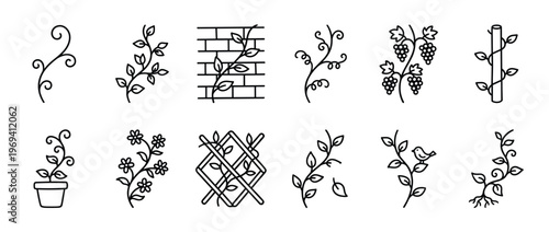 Collection of twelve black outline vector icons depicting various plants, vines, and floral elements