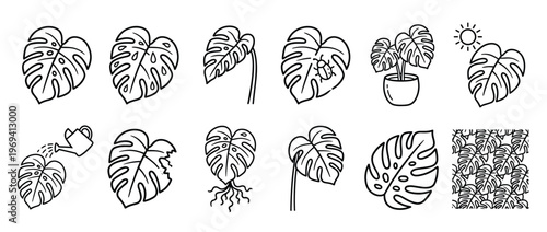 Various black outline monstera deliciosa leaves and plant icons illustrate different stages and elements of growth and care