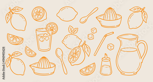 Citrus fruit slices, lemon and orange juice, fresh fruit line art, manual juicer vector, vitamin c background, healthy drink pattern, summer fruit illust