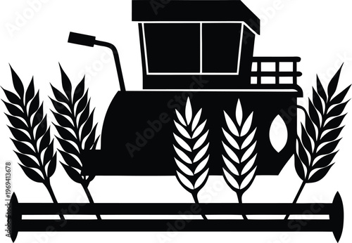 wheat field and wheat