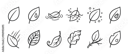 Collection of various simple outline leaf icons, depicting different states and conditions of foliage in a clean, illustrative style
