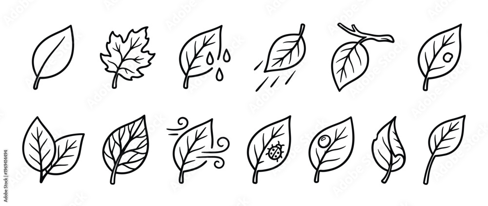 Fototapeta premium Collection of various hand-drawn leaves in black outline, depicting different shapes, conditions, and natural elements