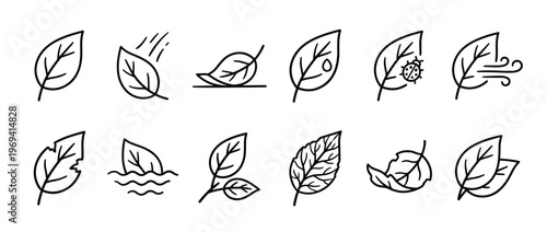 Collection of black outline leaf icons depicting various natural states and interactions, presented in a clean, minimalist style