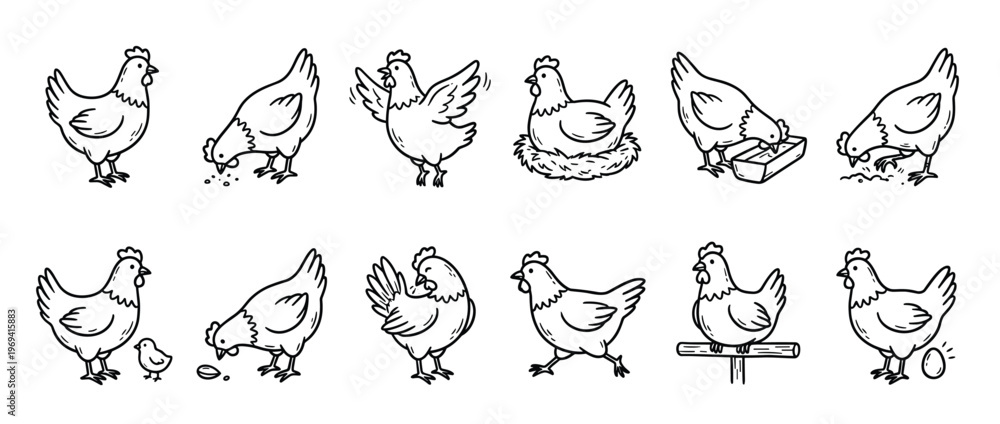 Fototapeta premium Collection of hand-drawn chickens in various poses, including standing, pecking, flapping, and sitting on a nest, depicted in a charming cartoon style