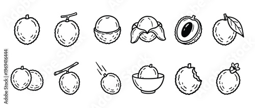 Collection of various hand-drawn lychee fruit illustrations in different forms, including whole, peeled, and sliced, presented in a clean line art style