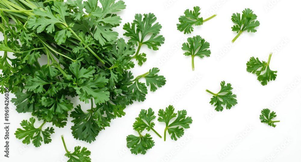 Naklejka premium Top down perspective of green parsley leaves isolated on white surface