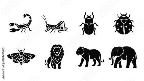 A collection of animal icons in black including insects a lion and an elephant presented as a silhouette high quality professional