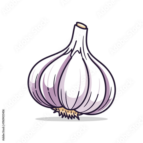 A simple cartoon illustration of a whole garlic bulb with a shadow