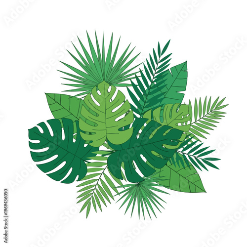 A diverse arrangement of lush green tropical leaves in various sizes and shapes