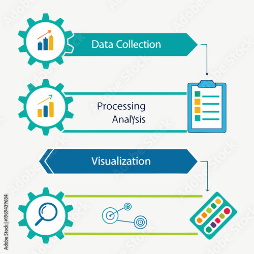 Data collection and visualization stages