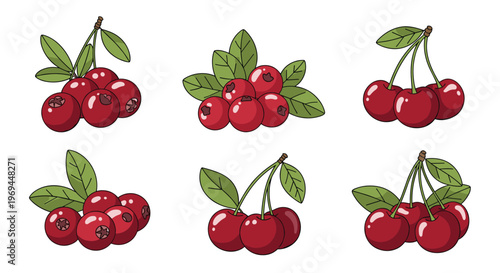 Assortment of red berry clusters with green leaves is presented in six different arrangements on a plain white background for culinary use.