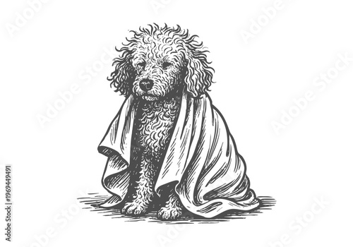 Poodle Dog hand drawn simple sketch vector illustration