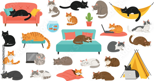 Cute Sleeping Cat Illustration Set Featuring Lazy Kitten Poses on Sofa Bed Cushion and Cozy Home Scenes for Pet Lovers Design