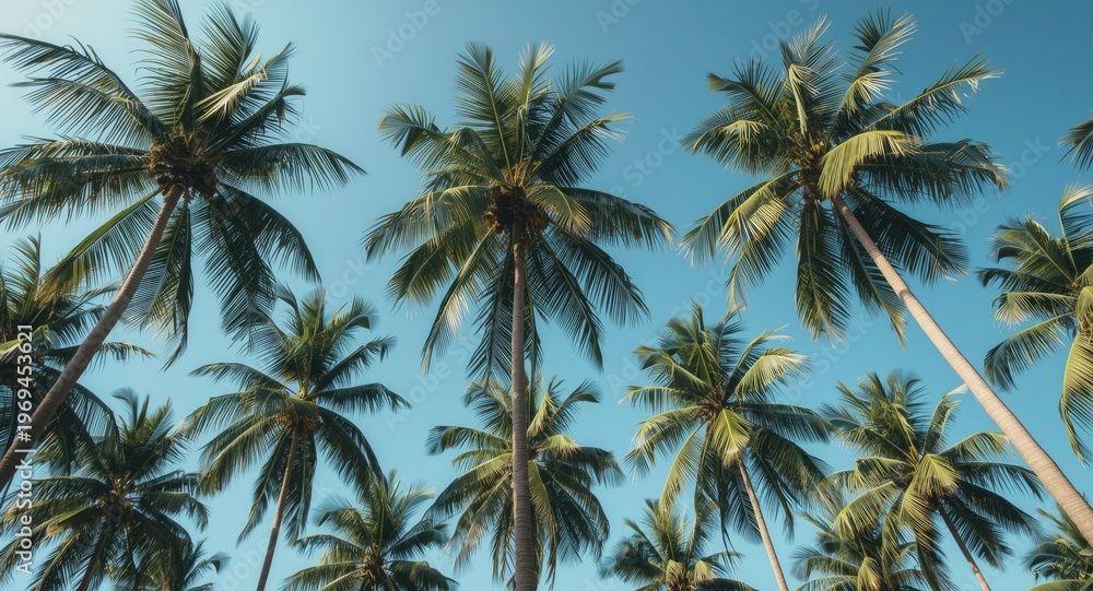 Obraz premium Generative AI creation of tropical palm trees under a bright clear sky